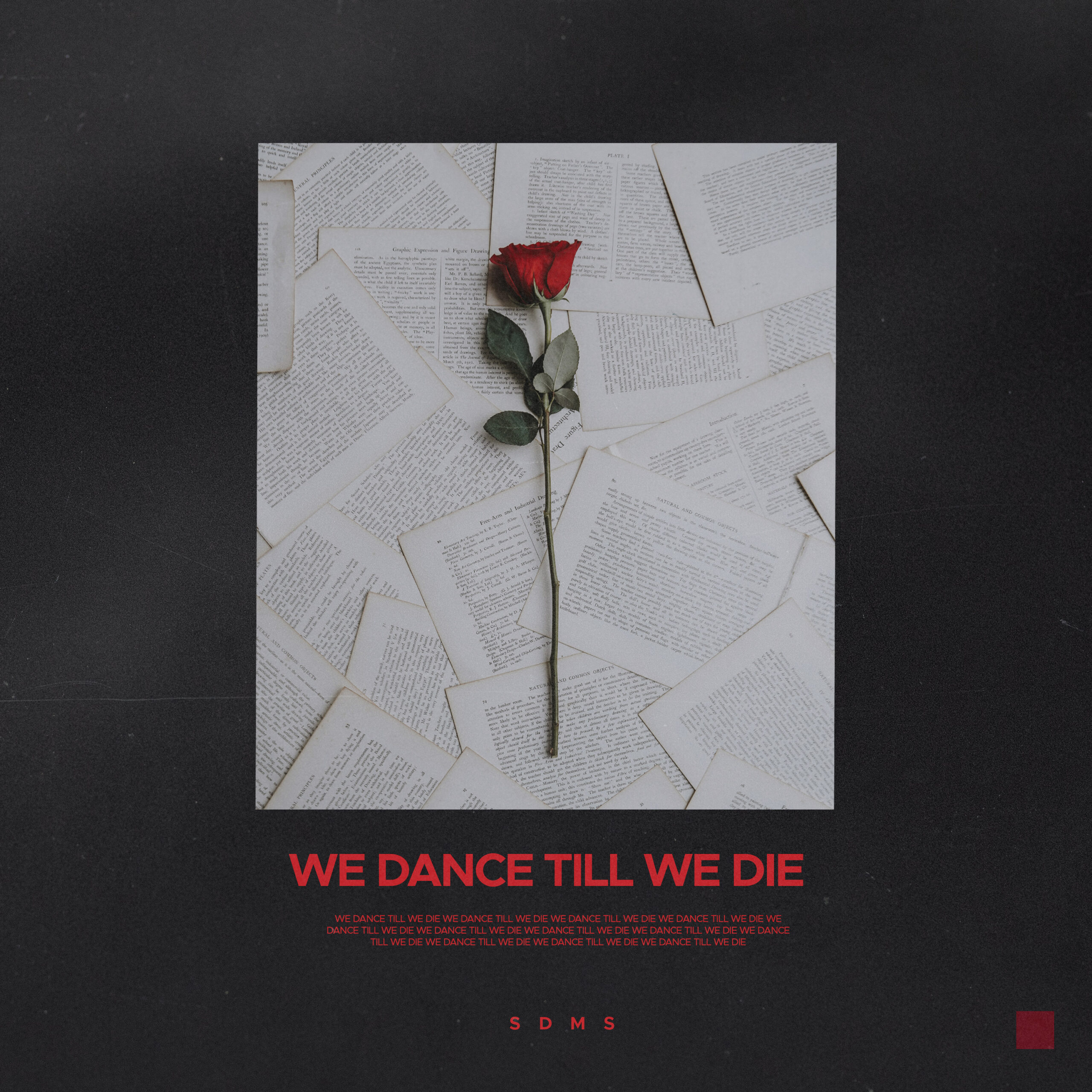 SDMS - We Dance Till We Die Mixtape Cover Art